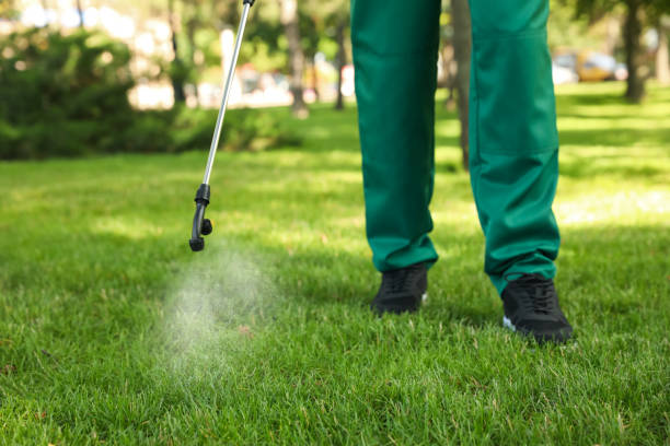 Best Exterminator Services  in Porterdale, GA