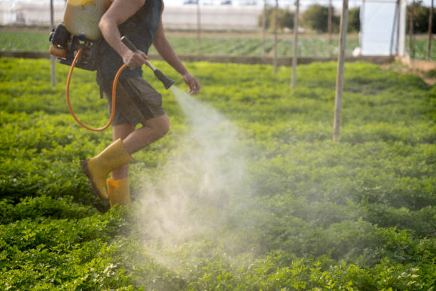 Best Best Pest Control Companies  in Porterdale, GA