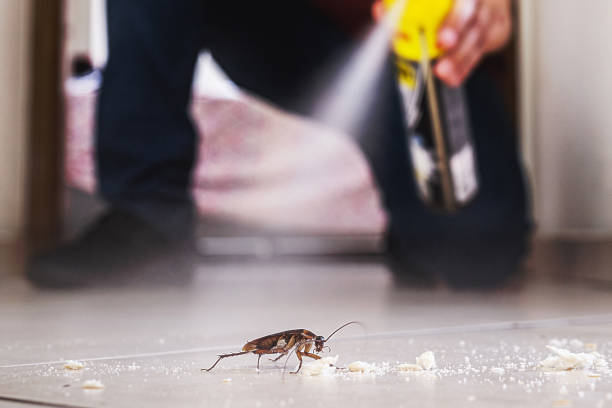 Best Exterminator Services  in Porterdale, GA