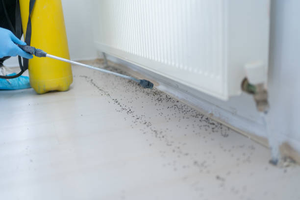 Best Pest Removal Services  in Porterdale, GA